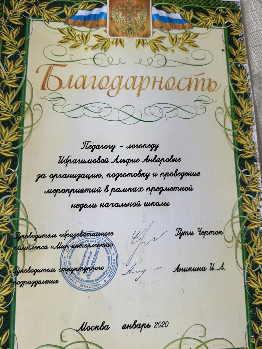 Благодарность от школы «Мир интеллекта»